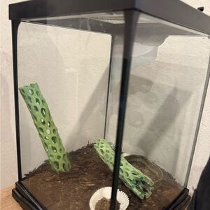 Glass Terrarium Zoo Med